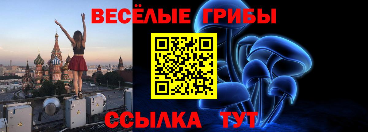 Междуреченск  Псилоцибиновые грибы ЛСД  Псилоцибиновые грибы Psilocybe  цена   Вход с VPN 